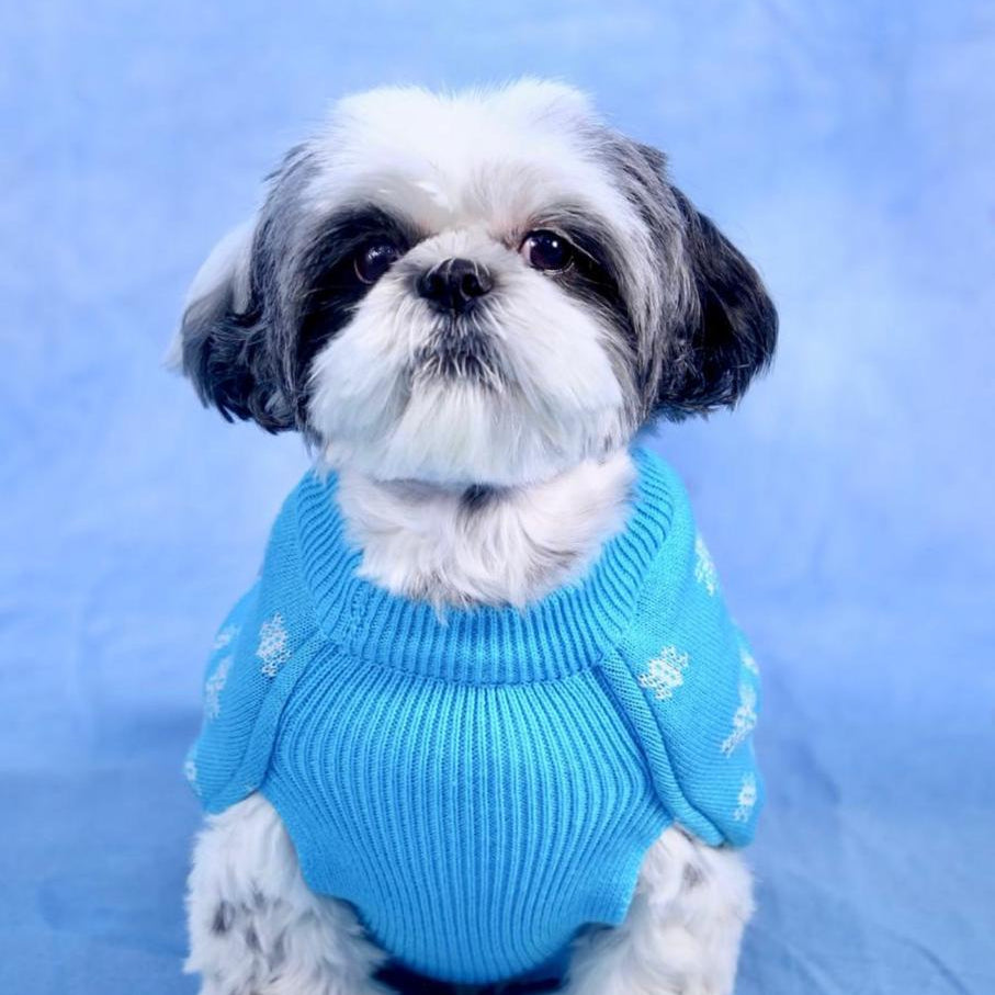 Panda Sweater for Dogs Furry Forrest