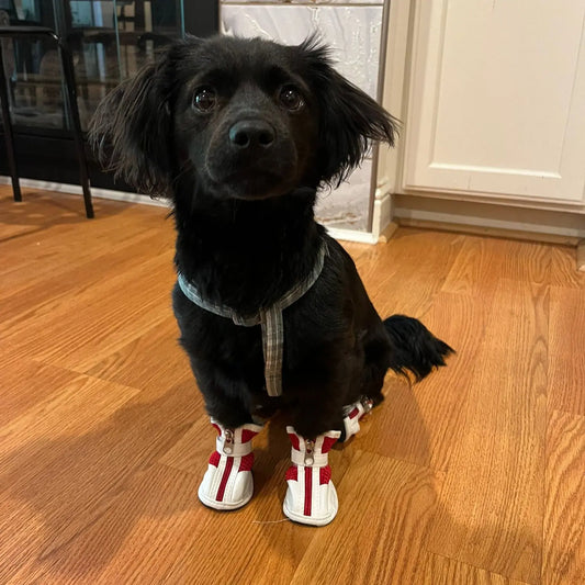 SafePaws Dog Shoes | Anti-Slip Paw Protection Boots for Dogs | Red & White - Furry Forrest