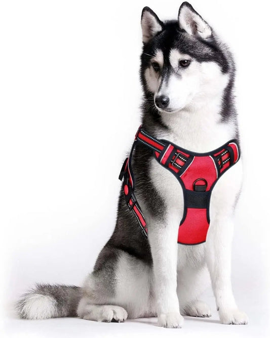 No Pull Dog Harness – Comfort, Control & Adventure Ready Furry Forrest