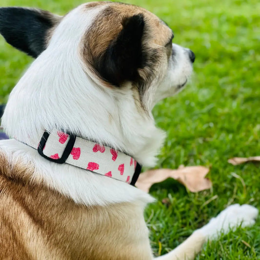 Pink Heart Cotton Dog Collar | Stylish Collars For Dogs - Furry Forrest