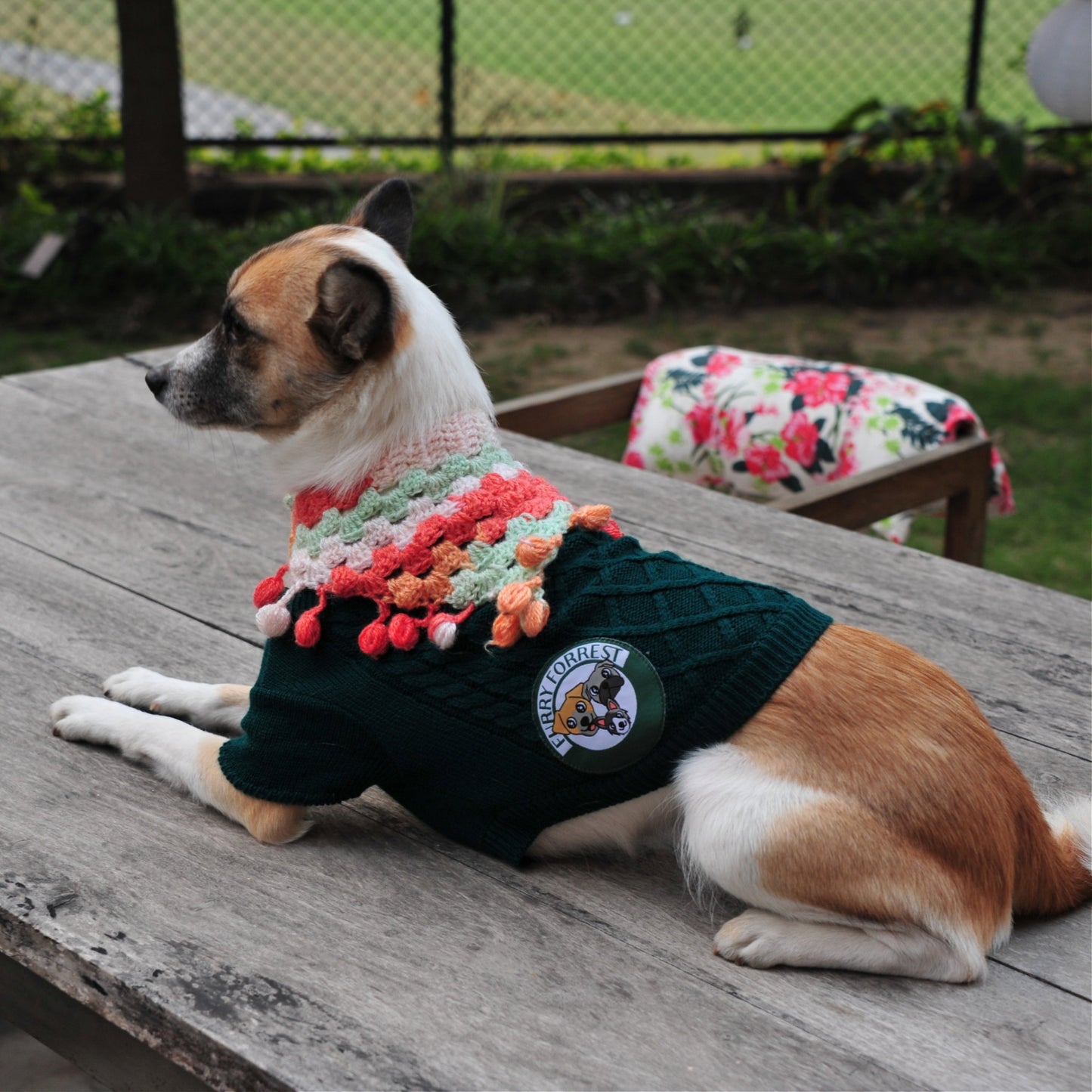 Cozy Woollen Sweater For Pets (Dog Sweater for Winter) Furry Forrest  Green / XL
