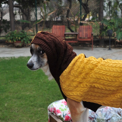 CozyHood Woolen Sweater for Dogs with Hood Furry Forrest