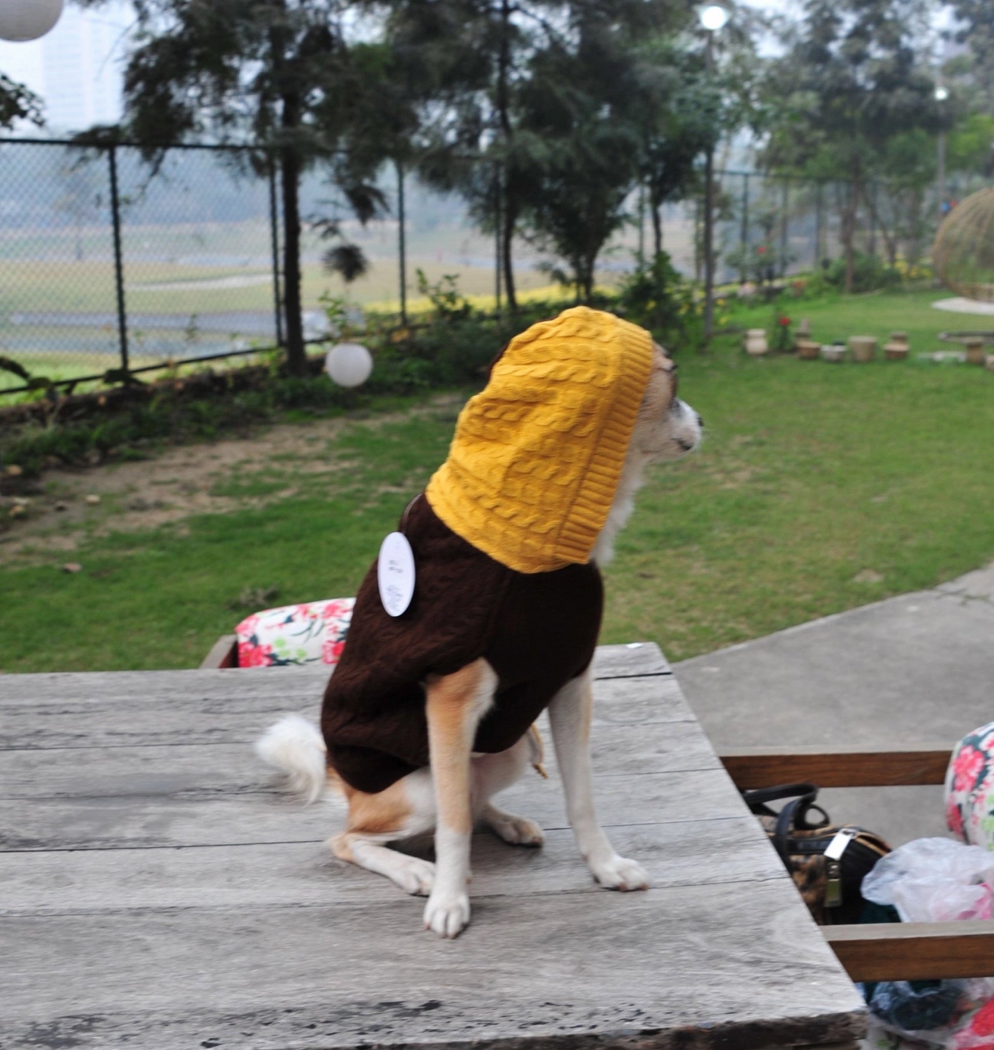 CozyHood Woolen Sweater for Dogs with Hood Furry Forrest