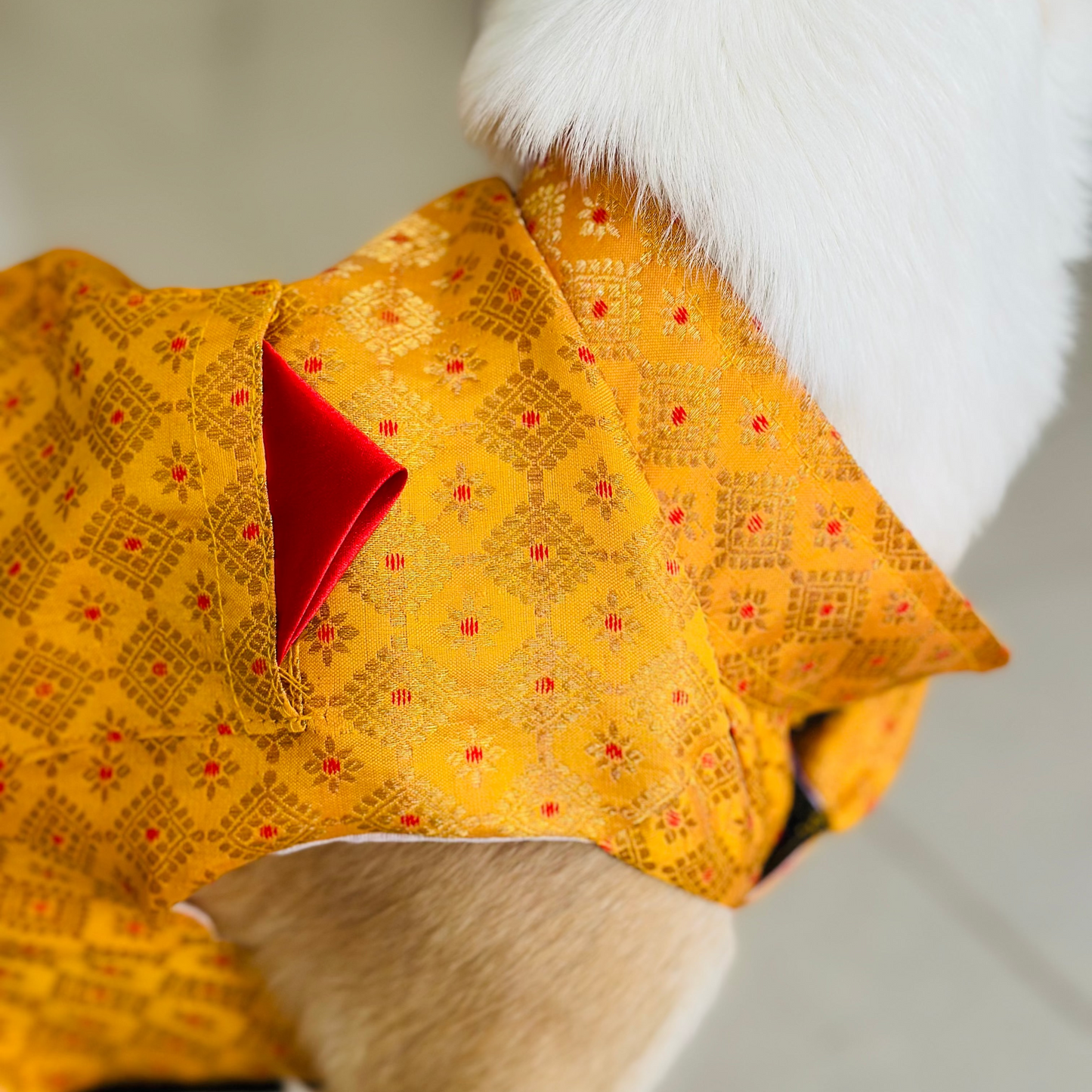 Dog wearing a yellow patterned diwali kurta with a red patch