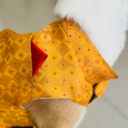 Dog wearing a yellow patterned diwali kurta with a red patch