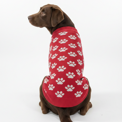 Signature Paw-Print Neck Adjustable Dog Sweater Furry Forrest