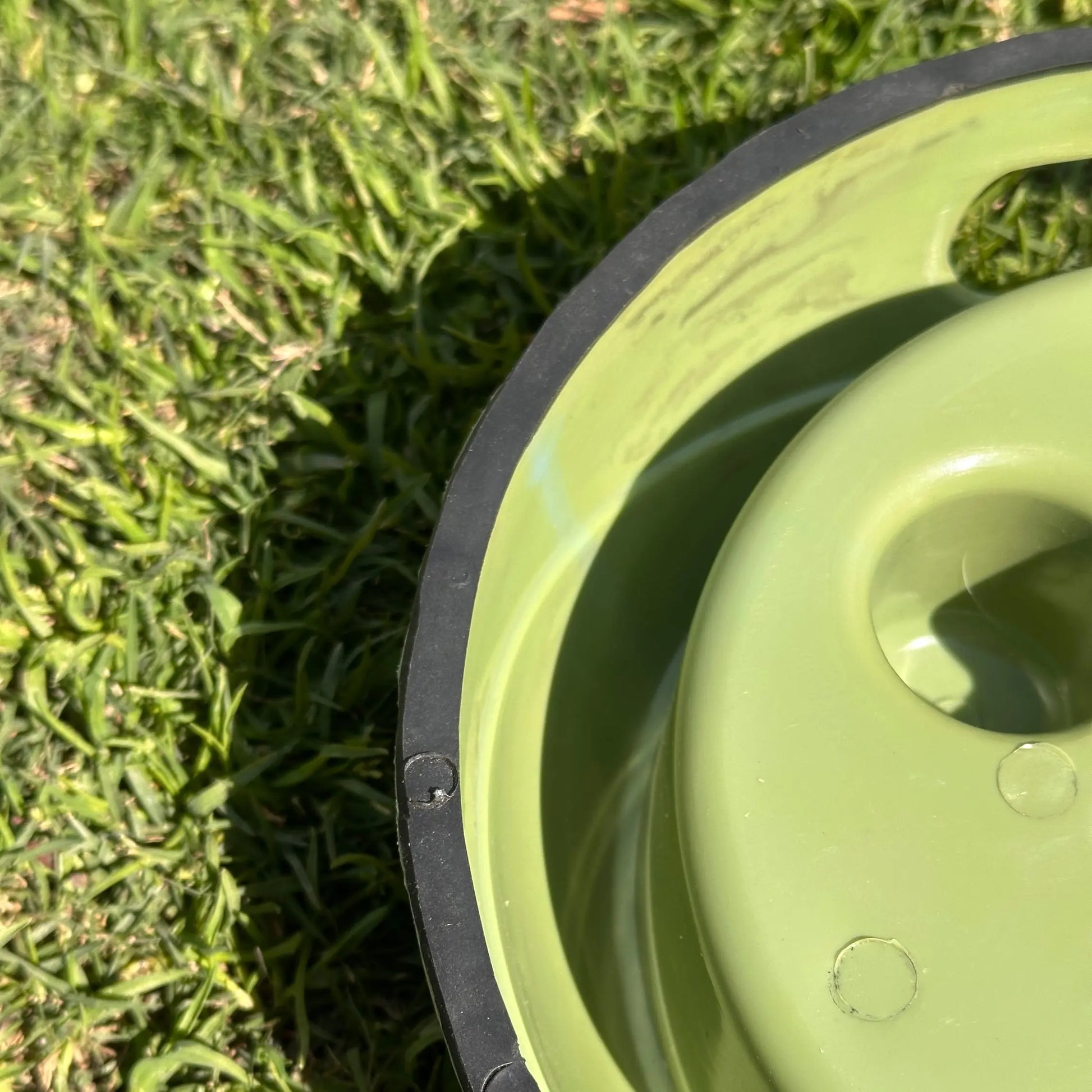 Dog Slow Feeding Bowl with Raised Fidget Spinner Design Furry Forrest
