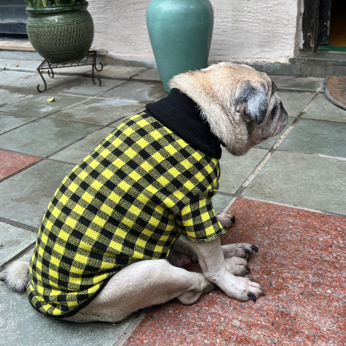 EcoCozy Turtleneck Pet Sweater Furry Forrest  Yellow/Black / 2XL