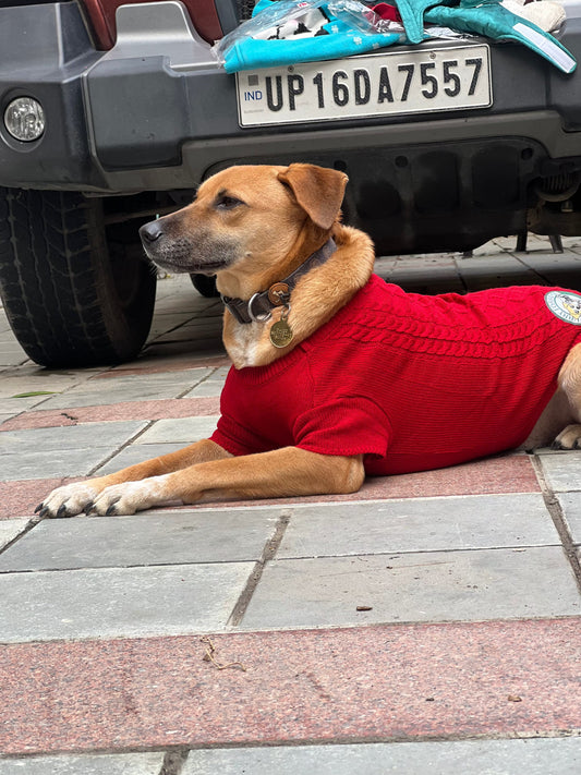 Cozy Woollen Sweater For Pets (Dog Sweater for Winter) Furry Forrest  Red / XL