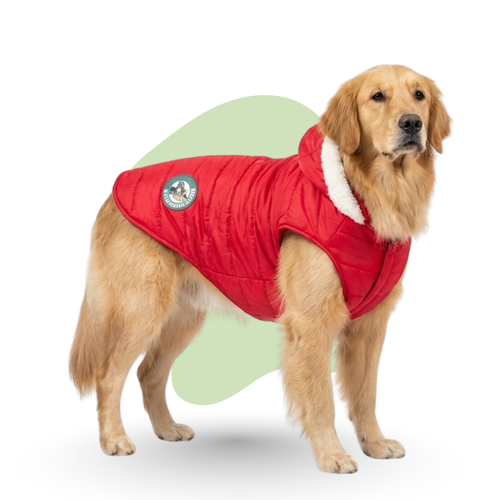 SnugglePaw Polyfill Dog Jacket Furry Forrest