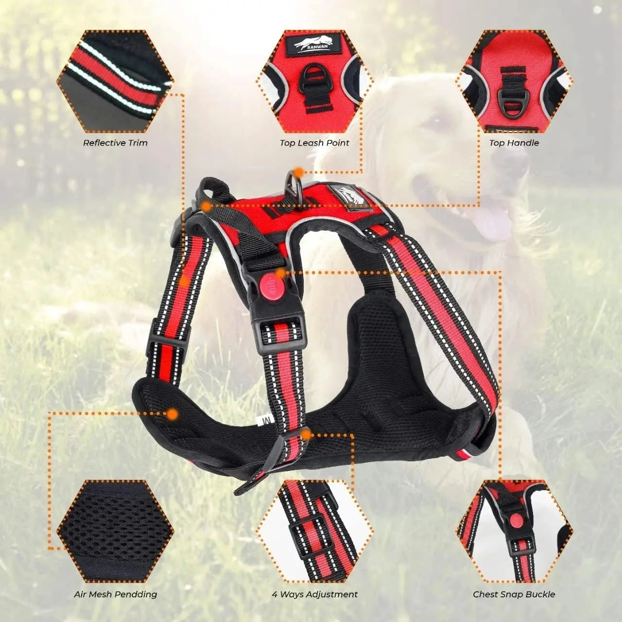 No Pull Dog Harness – Comfort, Control & Adventure Ready Furry Forrest